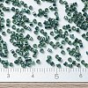 MIYUKI Delica Beads SEED-MY11-DB0276-4