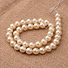 Polished Round Grade A Shell Pearl Bead Strands X-BSHE-M027-6mm-24-2