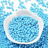 Baking Paint Glass Seed Beads SEED-H002-I-B504-2