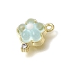Brass & Resin & Rhinestone Pendants RE-CBAE379-18LG-2