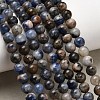 Natural Sodalite Beads Strands G-F591-13B-1