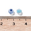 100Pcs Transparent Glass Beads GLAA-P061-01F-4