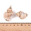 Natural Sea Shell Pendants SSHEL-N038-53-3