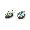 Natural Paua Shell/Abalone Shell Carved Pendants PALLOY-JF05615-02-2