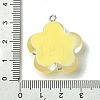 Translucent Resin Pendants RESI-P039-01P-4