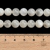 Natural White Moonstone Beads Strands G-L664-A01-8mm-A-5