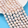 Natural Cultured Freshwater Pearl Beads Strands PEAR-F020-24B-1