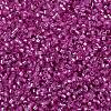 MIYUKI Delica Beads SEED-X0054-DB2153-3