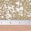 MIYUKI Delica Beads Small SEED-JP0008-DBS0334-4