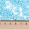 Baking Paint Glass Seed Beads X1-SEED-K010-A20-4