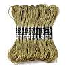 10 Skeins 12-Ply Metallic Polyester Embroidery Floss OCOR-Q057-A12-1