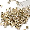 TOHO 3/0 Round Beads X-SEED-TR03-PF0558-1