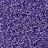 MIYUKI Delica Beads SEED-X0054-DB1347-4