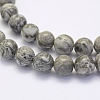 Natural Map Stone/Picasso Stone/Picasso Jasper Beads Strands G-G697-F03-6mm-3