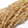 Natural Rutilated Quartz Chip Beads Strands G-E271-90-1