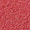 MIYUKI Delica Beads SEED-JP0008-DB2051-3
