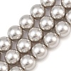 Electroplated Glass Pearl Graduated Beads Strands BSHE-C011-03D-2
