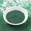 MIYUKI Round Rocailles Beads X-SEED-G007-RR0173-2
