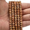 Natural Orange Sesame Jasper Beads Strands G-Z111-A41-2