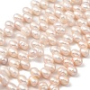 Natural Cultured Freshwater Pearl Beads Strands PEAR-I007-04E-03C-2