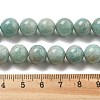 Natural Amazonite Beads Strands G-L618-A01-10mm-5