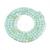 Natural Freshwater Shell Beads Strands BSHE-T009A-01D-2