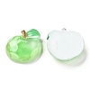 Transparent Resin Decoden Cabochons X-CRES-J046-03H-2