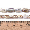 Electroplated Natural Freshwater Shell Beads Strands SHEL-T020-33-4