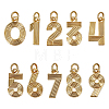 10Pcs 10 Styles Brass Pendants KK-PH0015-42-1