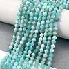 Natural Amazonite Beads Strands G-H003-D09-01-2