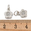 Rack Plating Brass Micro Pave Clear Cubic Zirconia Charms KK-U030-09P-3