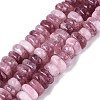 Dyed Natural Quartz Beads Strands G-N359-16A-12-2