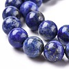 Natural Lapis Lazuli Beads Strands G-E483-17-10mm-7