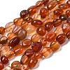Natural Red Agate Beads Strands G-B161-A01-2