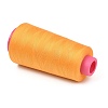 Polyester Machine Embroidery Threads FB-CBA4738-01G-2