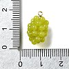 Grape Brass Acrylic Pendants OACR-R006-05G-06-3