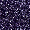 MIYUKI Delica Beads SEED-MY11-DB1756-3