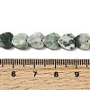 Natural Green Spot Jasper  Beads Strands G-M403-A22-03-5