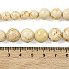 Natural Fossil Graduated Beads Strands G-F830-A03-01A-6