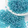 8/0 Glass Seed Beads SEED-J012-F8-119-1