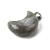 Natural Labradorite Pendants G-F820-02C-2