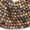 Natural Fossil Coral Beads Strands G-C288-A01-4mm-3