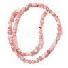 Natural Freshwater Shell Beads Strands SHEL-A006-07-2