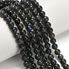 Natural Black Labradorite Beads Strands G-L642-B15-6mm-1