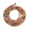 Natural Multi-Moonstone Beads Strands G-L597-C04-01-5