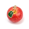 Fruit Alloy Enamel Charms LS-ENAM-P264-02C-G01-3