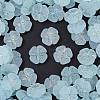 Frosted Transparent Acrylic Beads X1-OACR-P029-19B-06-1