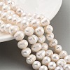 Natural Cultured Freshwater Pearl Beads Strands PEAR-C003-15C-2