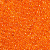 8/0 Glass Seed Beads X-SEED-A004-3mm-9B-3