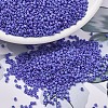MIYUKI Delica Beads SEED-MY11-DB1597-1